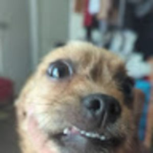 Meet your Posher, Adela